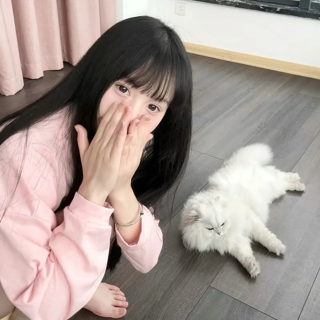 猫王与尼克松